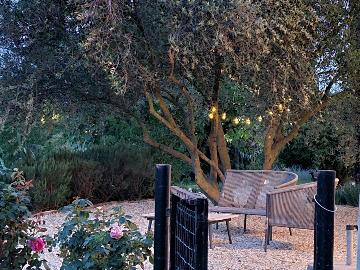 Tenuta Dei Vicini - Luxury Apartments San Marzano Oliveto Exteriér fotografie